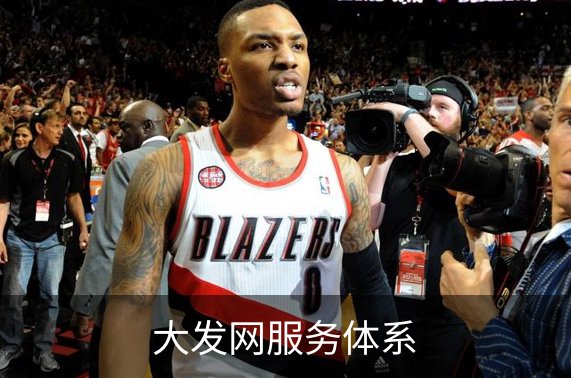 大发网服务体系概况